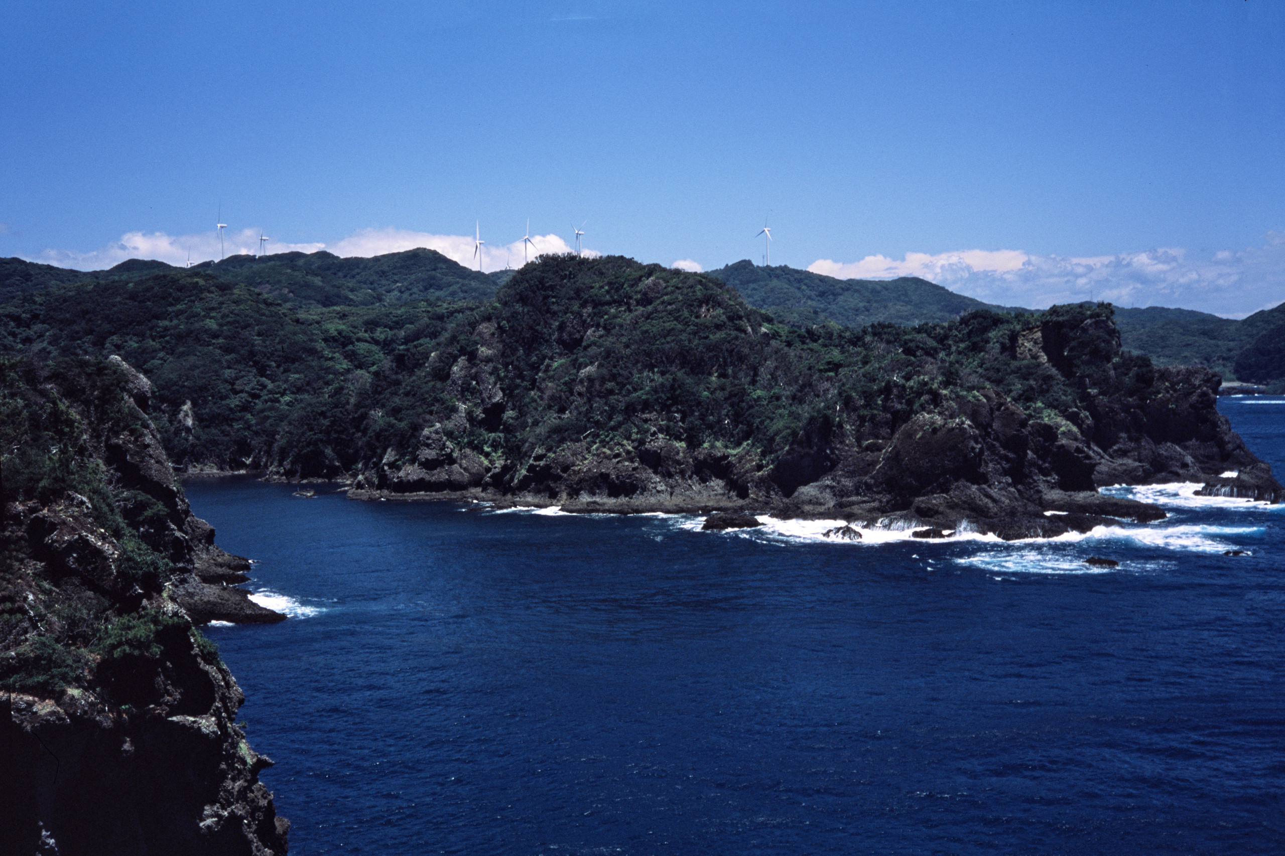 测试